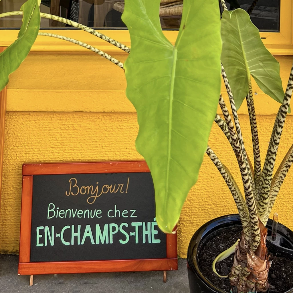 EN CHAMPS THÉ — Création d&rsquo;un restaurant végétarien — Mokcha Studio