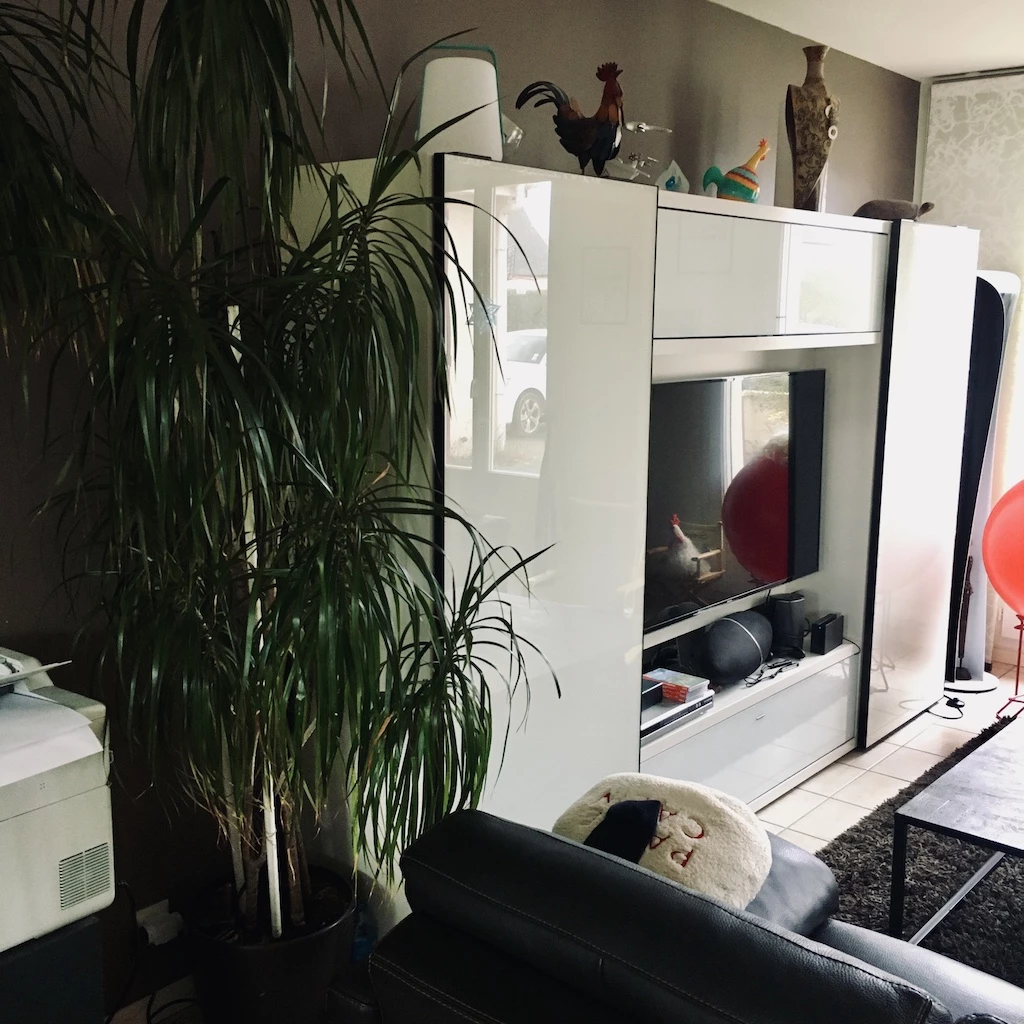 Avant — Douceur familiale — Rénovation d’une pièce de vie